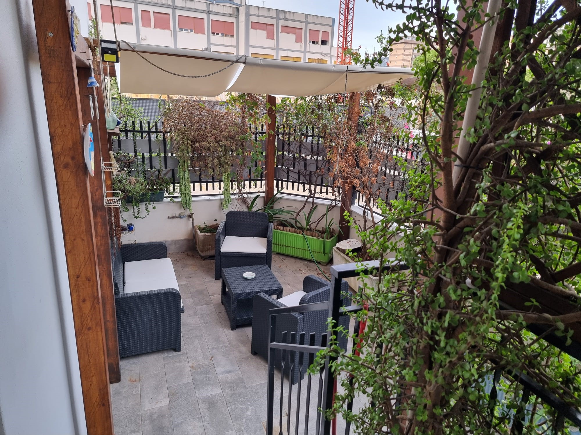 Tuttapposto Immagine Tuttapposto