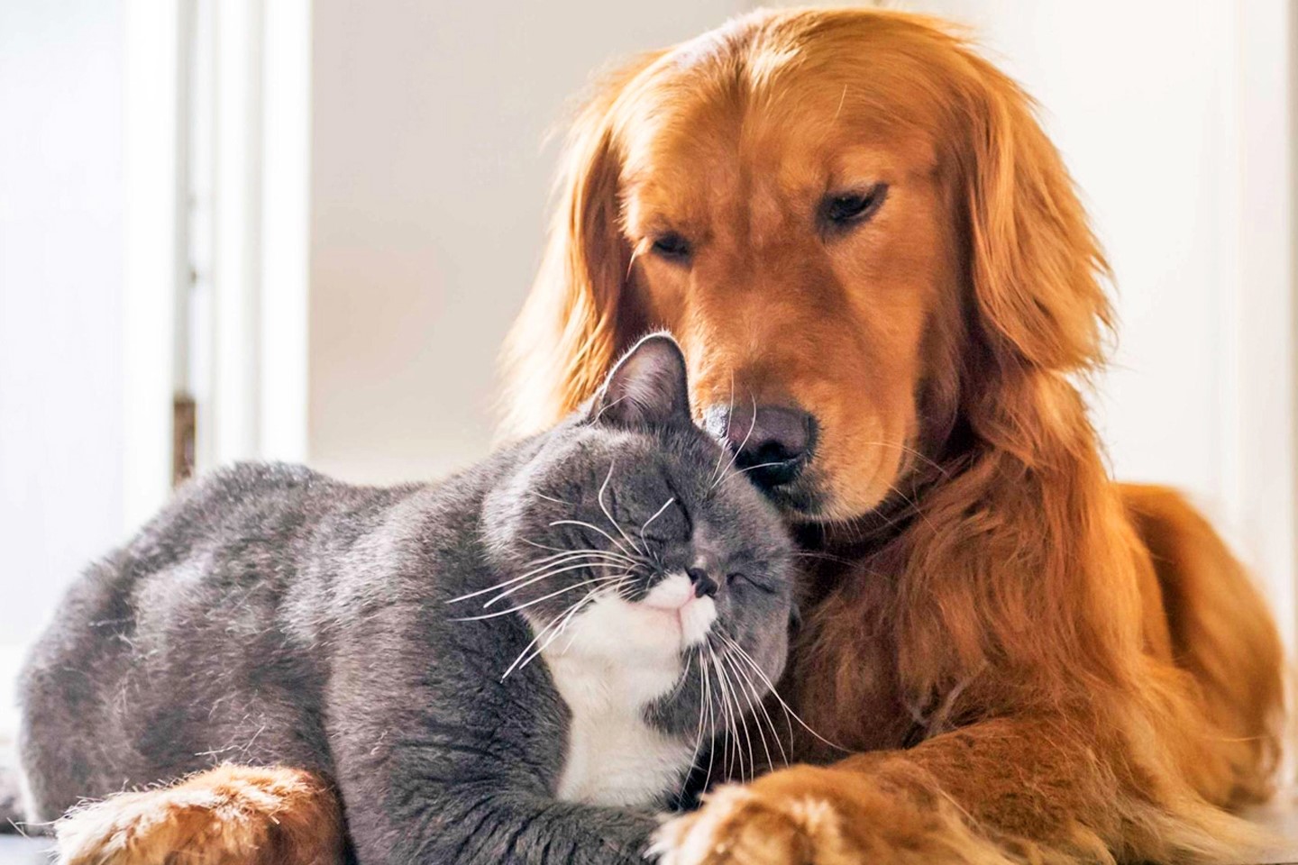 Porta Carini Immagine Porta Carini