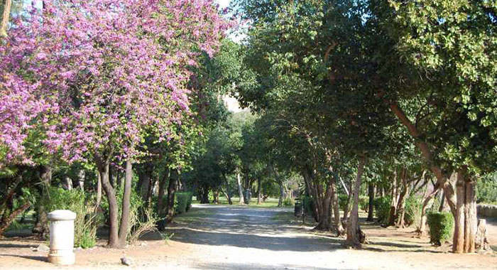 Parco di Villa Trabia 