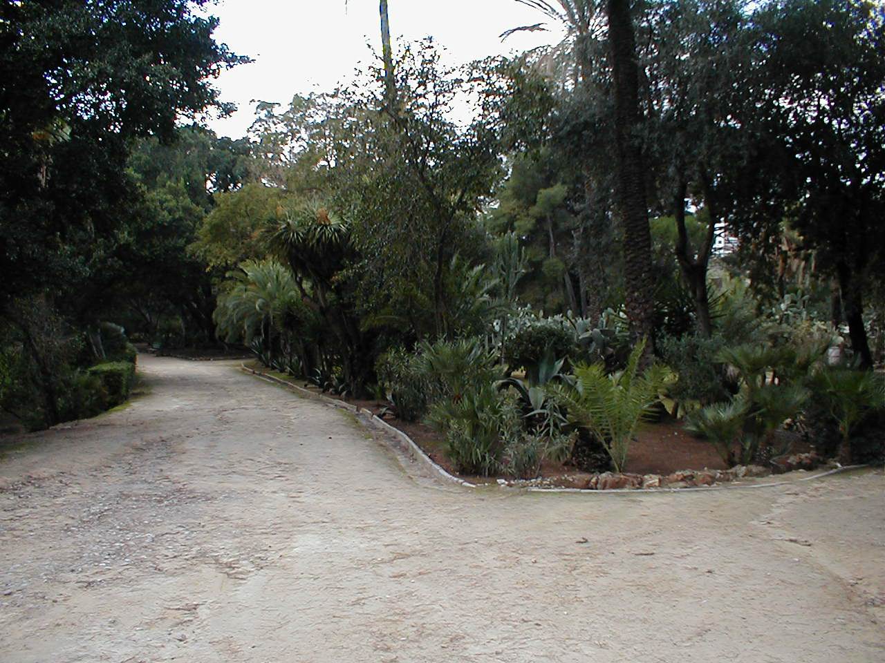 Immagine parco villa niscemi