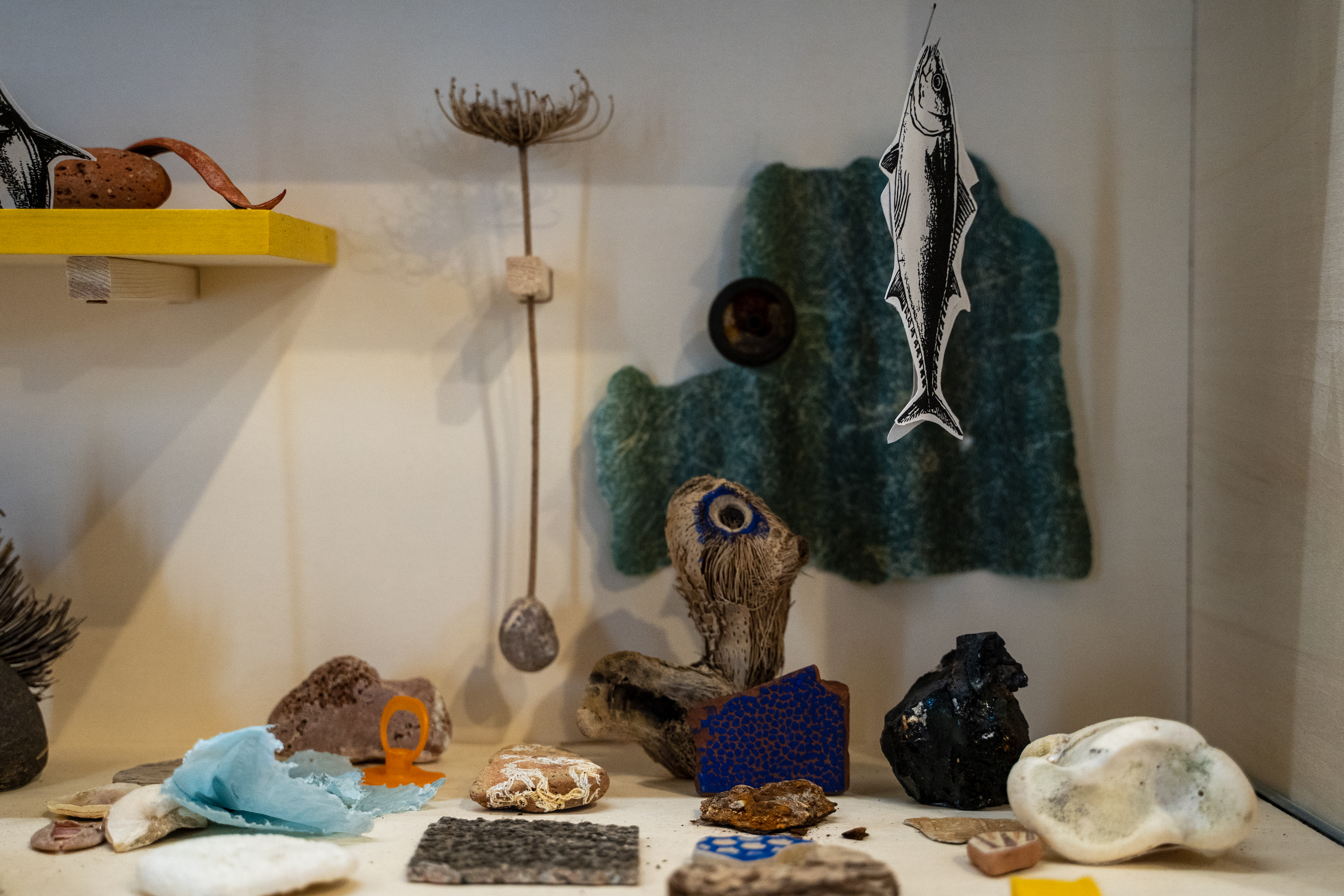 Eco Museo Immagine Eco Museo